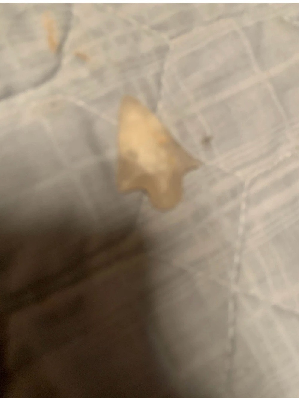 Arrow Head